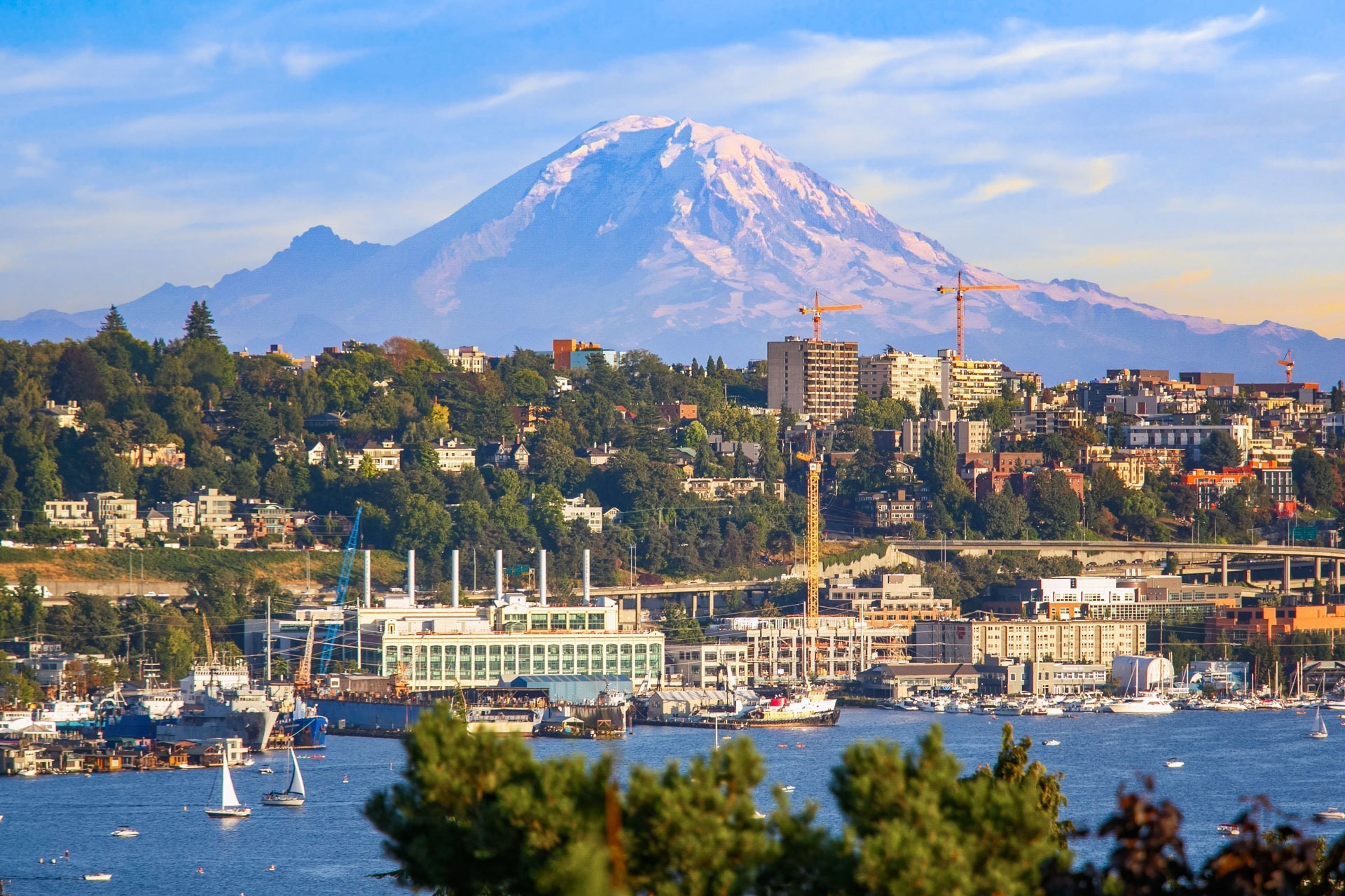 A scenic view of a large city with a waterfront, numerous boats, and buildings. Construction cranes are visible among the buildings. Dominating the background is a majestic snow-capped mountain under a clear blue sky. Lush greenery surrounds the city.